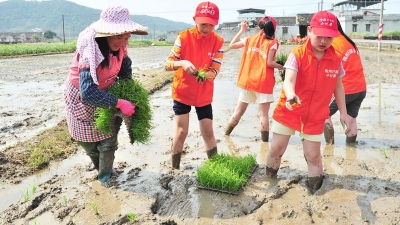小记者丨“农夫”初体验