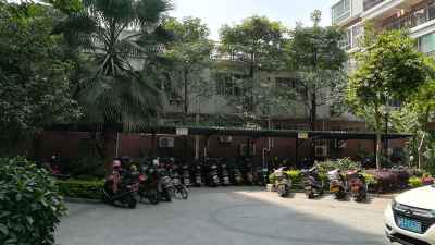 梅城一小区绿树被砍欲建充电桩 有关部门责令恢复规划绿地