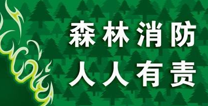 严防山火！全市设立4363个检查站严查进山火源