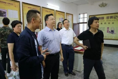 鼎盛文投考察组到大埔调研文化旅游产业发展工作