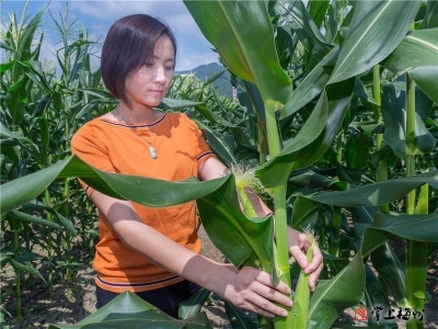 梅州新农人丨平远刘琼：点燃创业梦 做新型农民