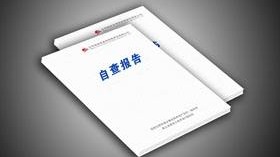 赣州一单位自查整改报告抄袭他人 局长被问责