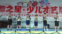 “客都之星”才艺展演乐器类别海选视频