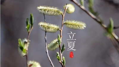 5日21时25分“立夏”：绿肥红瘦，风暖昼长