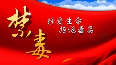 兴宁市合水镇联合多部门举办禁毒宣传