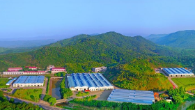 梅县区：产业为支撑  探索多种“造血”脱贫途径