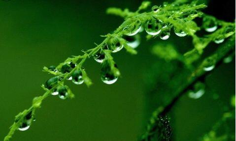 灯下手记丨讲究语言艺术  润物细无声