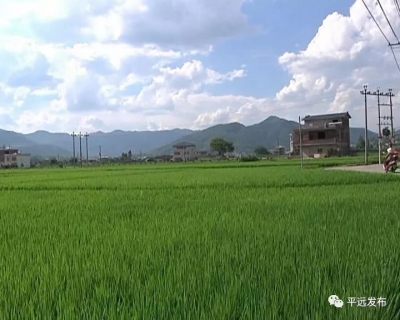 宋才华现场检查抗旱工作：强化各项抗旱措施，力争把受旱损失降到最低