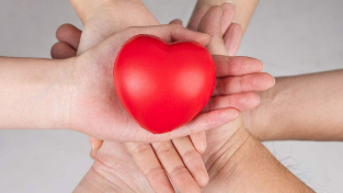 梅县区举办会亲活动关爱特困少年儿童