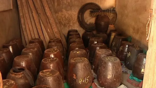 平远河头镇村民种咸菜尝“甜头” 亩效益可达2万元