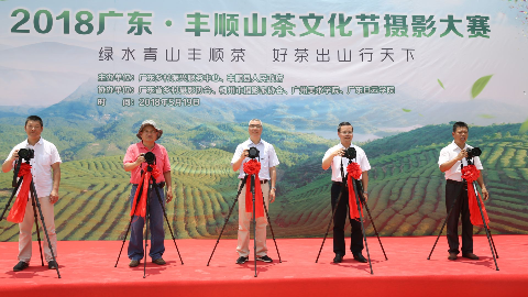 丰顺山茶文化节摄影大赛开赛