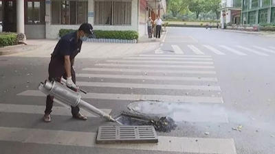 “四害”无处逃！蕉岭县开展病媒生物防制专项行动