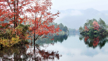 点赞！蕉岭蝉联全国“百佳深呼吸小城”称号 