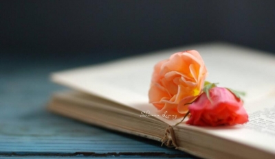 小记者张晓妮作品丨独特的书香味