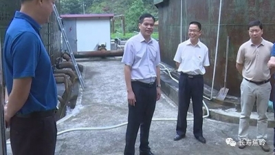 刘彩波率队到文福镇、广福镇调研