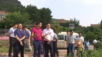 杨栋率队到南台卧佛山旅游度假区项目建设现场调研