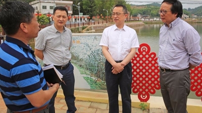 国家发改委一行来梅调研区域发展和特色小镇建设，陈敏陪同