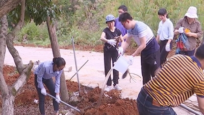 特别！蕉岭“白衣天使”过了个“绿色”的护士节