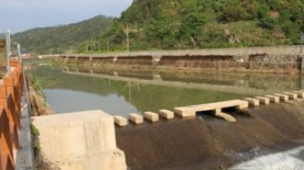 大埔县政协委员一行到湖寮、西河视察全县河长制工作