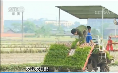 ​农业农村部：我国水稻育种将从高产走向高质