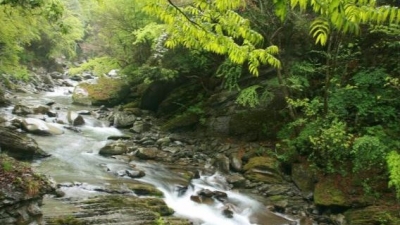 诗歌港丨古驿音符