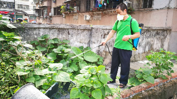已进入登革热流行季节，我市相关部门给你来支招