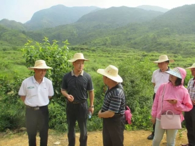 省检查组到大埔检查古驿道保护利用工作