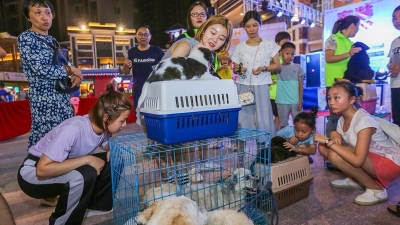 领养流浪猫狗，用爱把牠带回家！地点：梅城万达广场