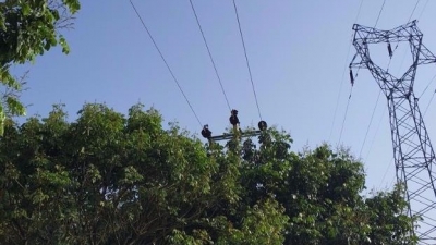民生追踪丨梅江区城北明洋村高压线下树枝已修剪 