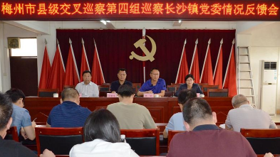 梅州市县级交叉巡察第四组向长沙镇党委反馈巡察情况