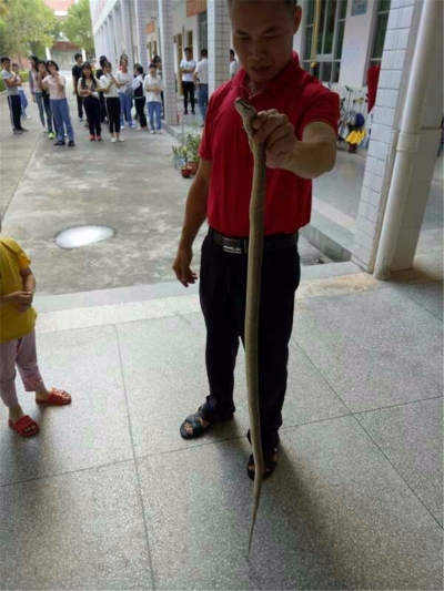 吓呆了，蛇闯教室惊吓学生 神勇教师一招擒蛇