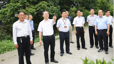 曾永祥率队调研乡村振兴和生态宜居美丽乡村连线连片建设工作