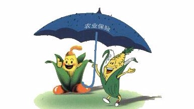 好消息！广东政策性农业保险新增3险种，10险种保额提高
