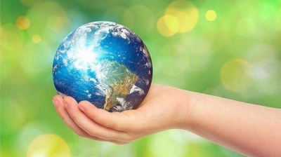 时评丨外国女孩追回野鸭蛋是一堂生态保护课