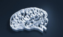 蕉岭：精神分裂症患者阻碍交警依法执行公务