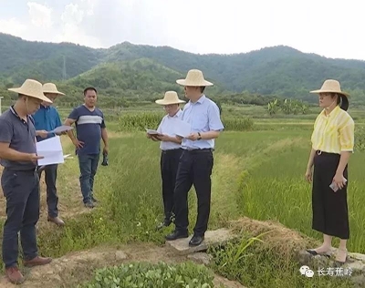 陈伟明：群策群力抗旱灾 千方百计保用水