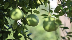 童心妙笔丨故乡·我·回忆