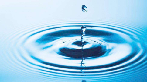 小记者陈善怡作品丨水环境保卫员