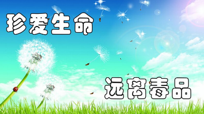 市公安局：确保全民禁毒工程取得新成效