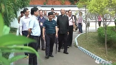 何冬青等海外侨胞、港澳台同胞一行回乡考察