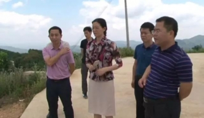 广州海关到大埔调研国家级出口蜜柚质量安全示范区建设情况