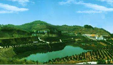 梅县区大坪镇示范带动 推进美丽乡村建设