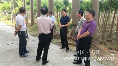 梅江区西阳镇加快推进新农村示范村建设工作