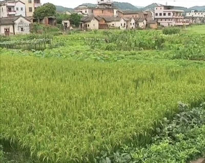 梅县区：立行立改力度大 群众点赞环保督察