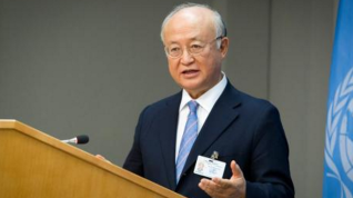 国际原子能机构称已做好准备对朝鲜进行核查