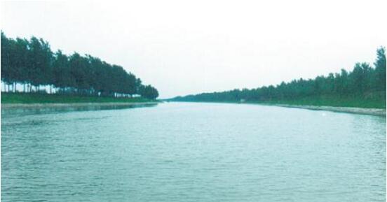 梅县区：保护家园环境  我们用行动说话