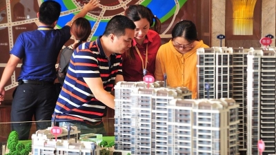 这个端午假期你买了啥？来看梅城假期首日消费市场成绩单