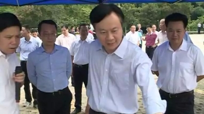 全市乡村振兴工作会议与会人员到大埔考察