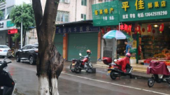 迅速整治！梅江区全面排查清理“路树乱挂杂物”现象