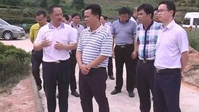 朱汉东带队到枫朗镇调研乡村振兴和基层党建工作